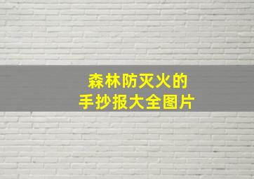 森林防灭火的手抄报大全图片