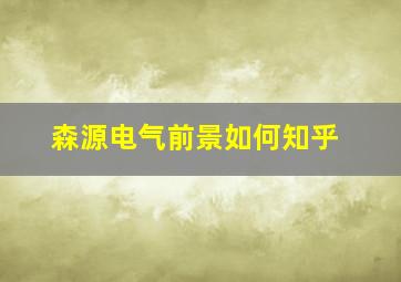 森源电气前景如何知乎