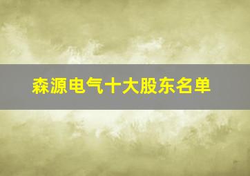 森源电气十大股东名单