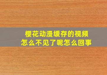 樱花动漫缓存的视频怎么不见了呢怎么回事