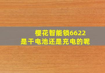 樱花智能锁6622是干电池还是充电的呢