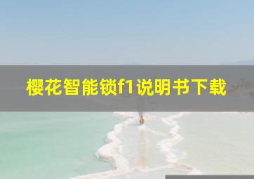 樱花智能锁f1说明书下载