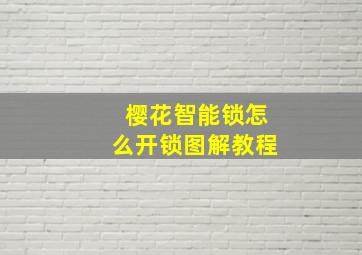 樱花智能锁怎么开锁图解教程