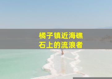 橘子镇近海礁石上的流浪者