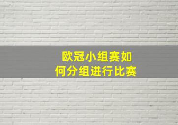 欧冠小组赛如何分组进行比赛