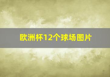 欧洲杯12个球场图片