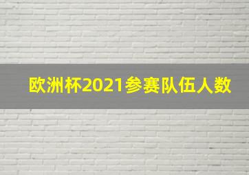 欧洲杯2021参赛队伍人数