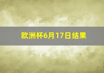 欧洲杯6月17日结果