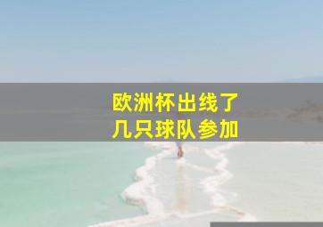 欧洲杯出线了几只球队参加