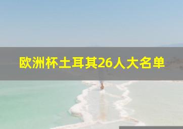 欧洲杯土耳其26人大名单