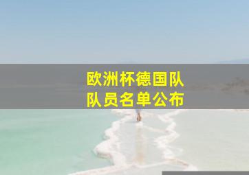 欧洲杯德国队队员名单公布