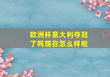 欧洲杯意大利夺冠了吗现在怎么样啦