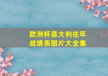 欧洲杯意大利往年战绩表图片大全集