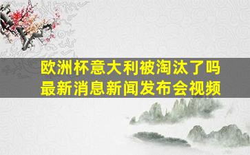 欧洲杯意大利被淘汰了吗最新消息新闻发布会视频