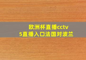 欧洲杯直播cctv5直播入口法国对波兰