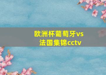 欧洲杯葡萄牙vs法国集锦cctv