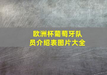 欧洲杯葡萄牙队员介绍表图片大全