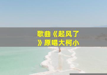 歌曲《起风了》原唱大柯小