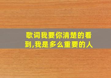 歌词我要你清楚的看到,我是多么重要的人