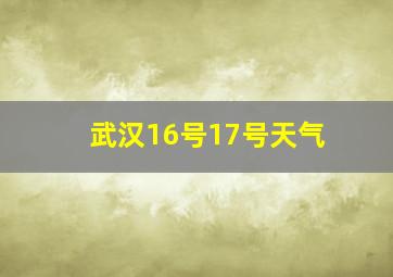 武汉16号17号天气