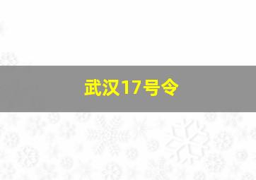 武汉17号令