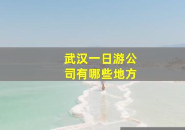 武汉一日游公司有哪些地方