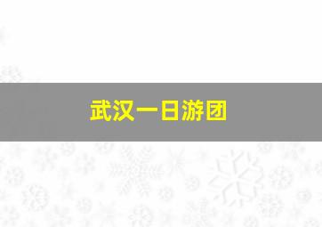 武汉一日游团