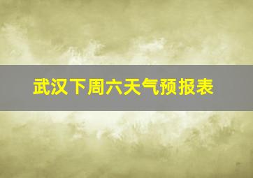 武汉下周六天气预报表