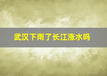 武汉下雨了长江涨水吗