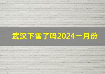 武汉下雪了吗2024一月份