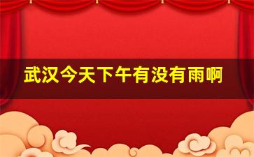 武汉今天下午有没有雨啊