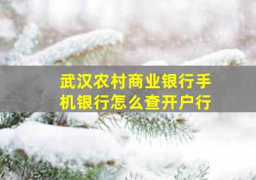 武汉农村商业银行手机银行怎么查开户行