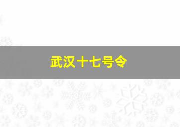 武汉十七号令