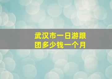 武汉市一日游跟团多少钱一个月