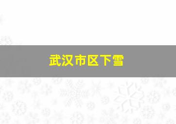 武汉市区下雪