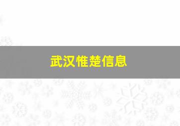 武汉惟楚信息