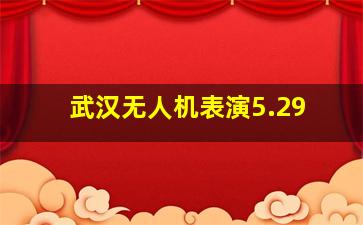 武汉无人机表演5.29