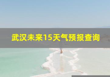 武汉未来15天气预报查询