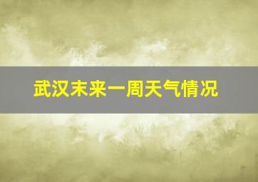 武汉末来一周天气情况