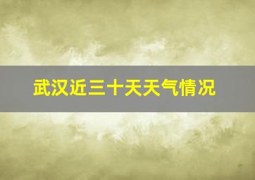 武汉近三十天天气情况