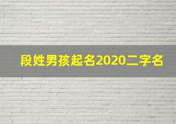 段姓男孩起名2020二字名