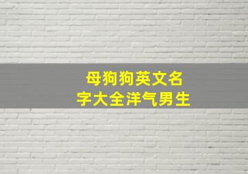 母狗狗英文名字大全洋气男生