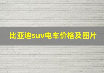 比亚迪suv电车价格及图片