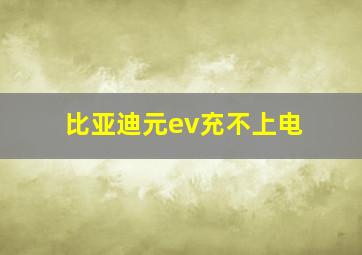 比亚迪元ev充不上电