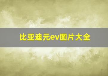 比亚迪元ev图片大全