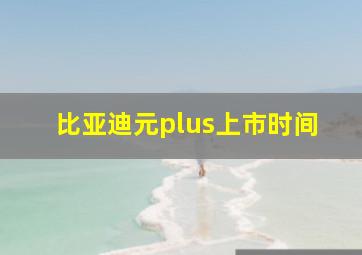 比亚迪元plus上市时间