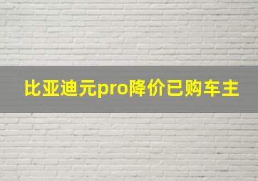 比亚迪元pro降价已购车主