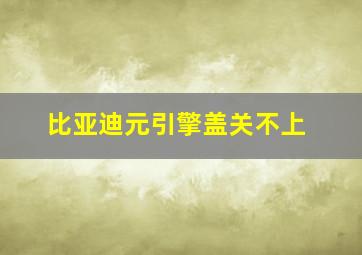 比亚迪元引擎盖关不上