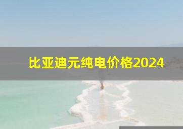 比亚迪元纯电价格2024