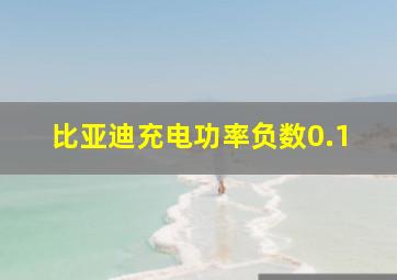 比亚迪充电功率负数0.1